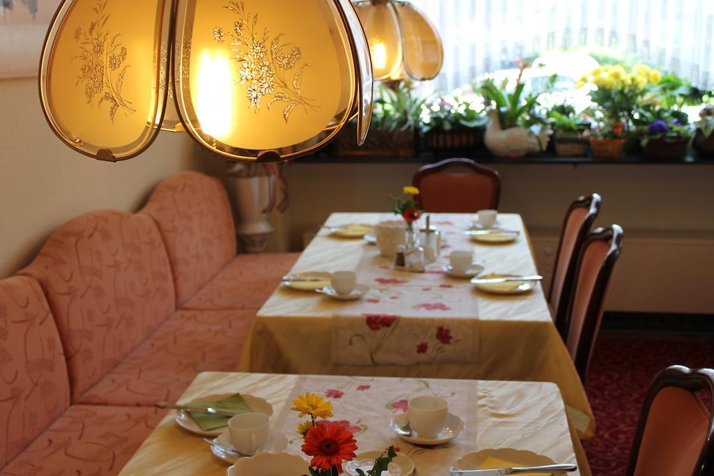 Luga Hotel 3*